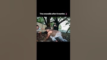 #subscribemychannel #youtube