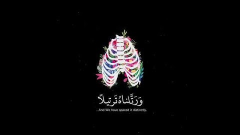 حالات واتس اب دينية 2019  قران كريم بصوت خالد الجليل
