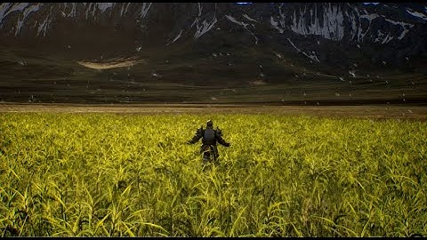 Finally, touching grass