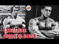 Les 6 meilleurs choses que jai apprises de arnold