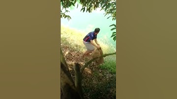 #tiktok #alightmotion #presetalightmotion #xmlfle #xmlfile #video #alightmotionedit #xmllfile