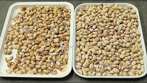 Pistachio Nuts Color Sorter Sorting Machine