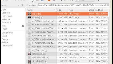 Statistical Model Building Demo