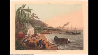 Part 2 of 3: Why Didn’t The Caribbean Colonies Rebel? Sugar Wealth and Slavery