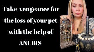 Take vengeance for the loss of your pet with the help of Anubis!