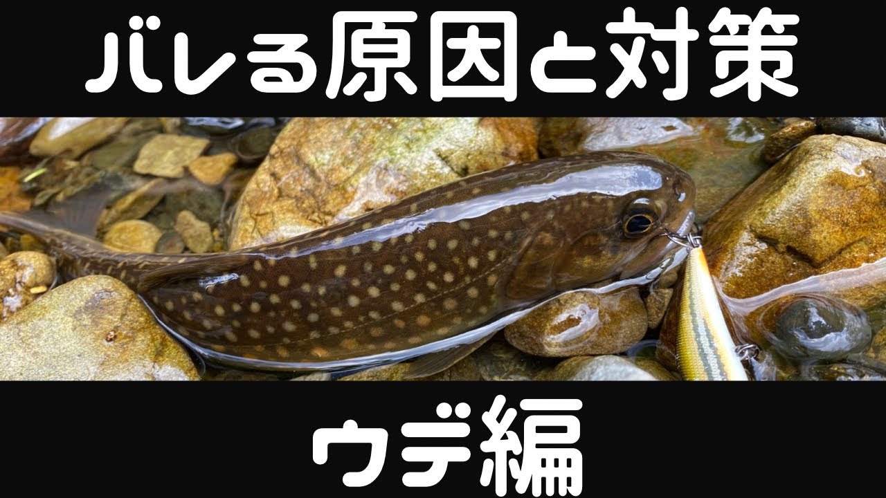初心者解説】渓流ルアーでバラす理由はフックと〇〇！ - YouTube