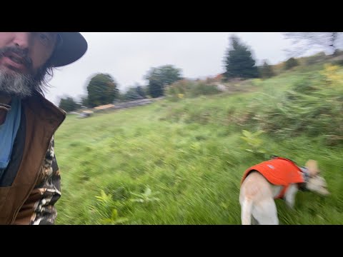 Walking
