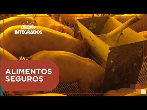 Como a rastreabilidade garante alimentos seguros? | Ligados&Integrados - 06/02/2024