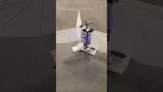 Moth Inspired Drone Flies Smart Without