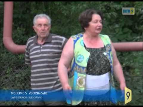 ქვეწარმავლები სოფელ არგვეთში