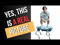 Industrial Robot Dogs Up Close