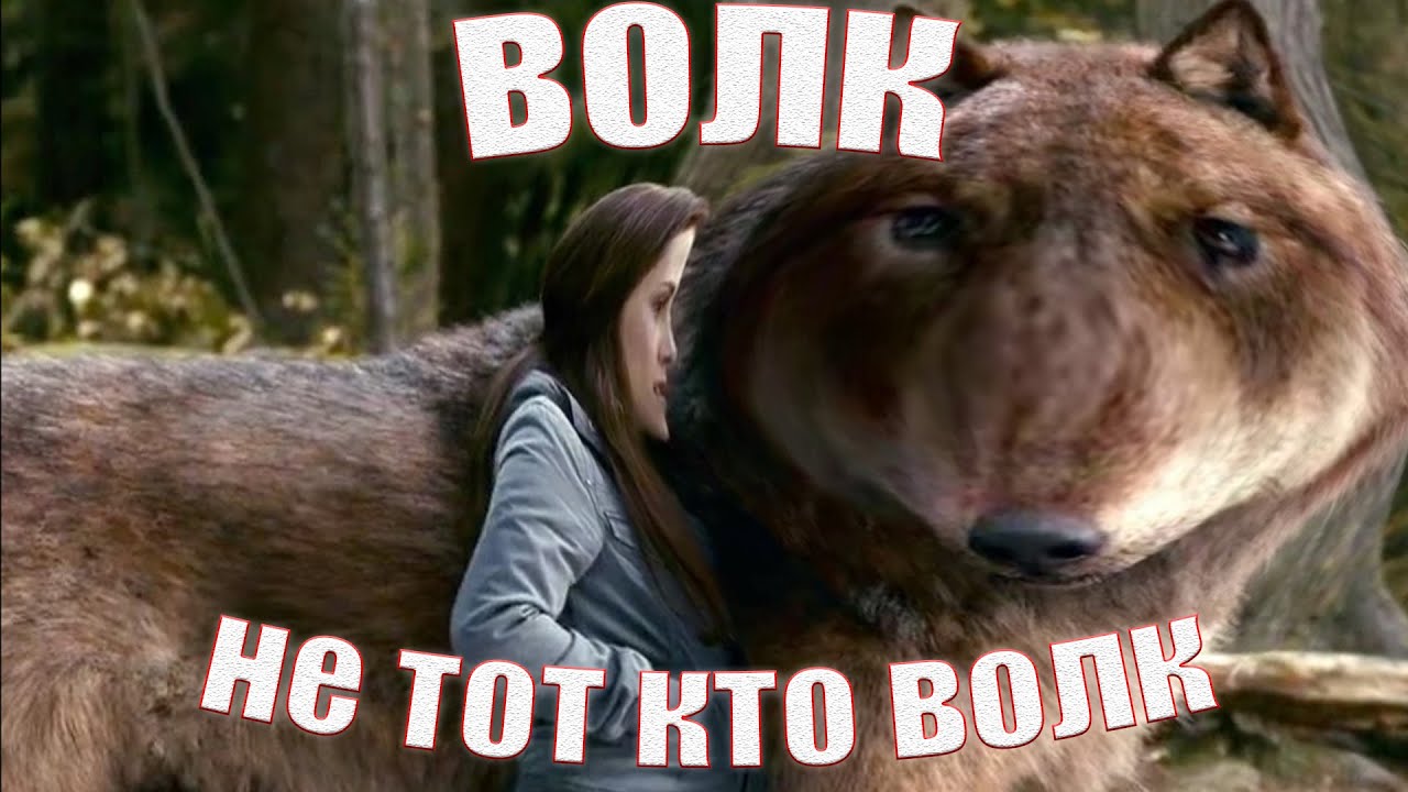 Волк, не тот кто волк.. | Мудрость волка | Цитаты волка - YouTube