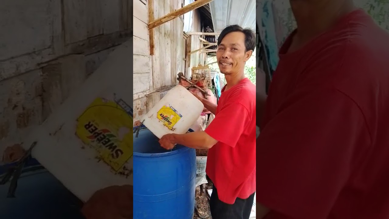 Cara membuat pupuk pembenah tanah