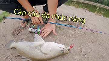 ✅ Cần câu cá Tiny titan vs TORO | DUY FISHING SAI GON