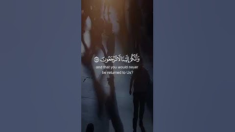 (أفحسبتم أنما خلقناكم عبثا) - القارئ أحمد النفيس