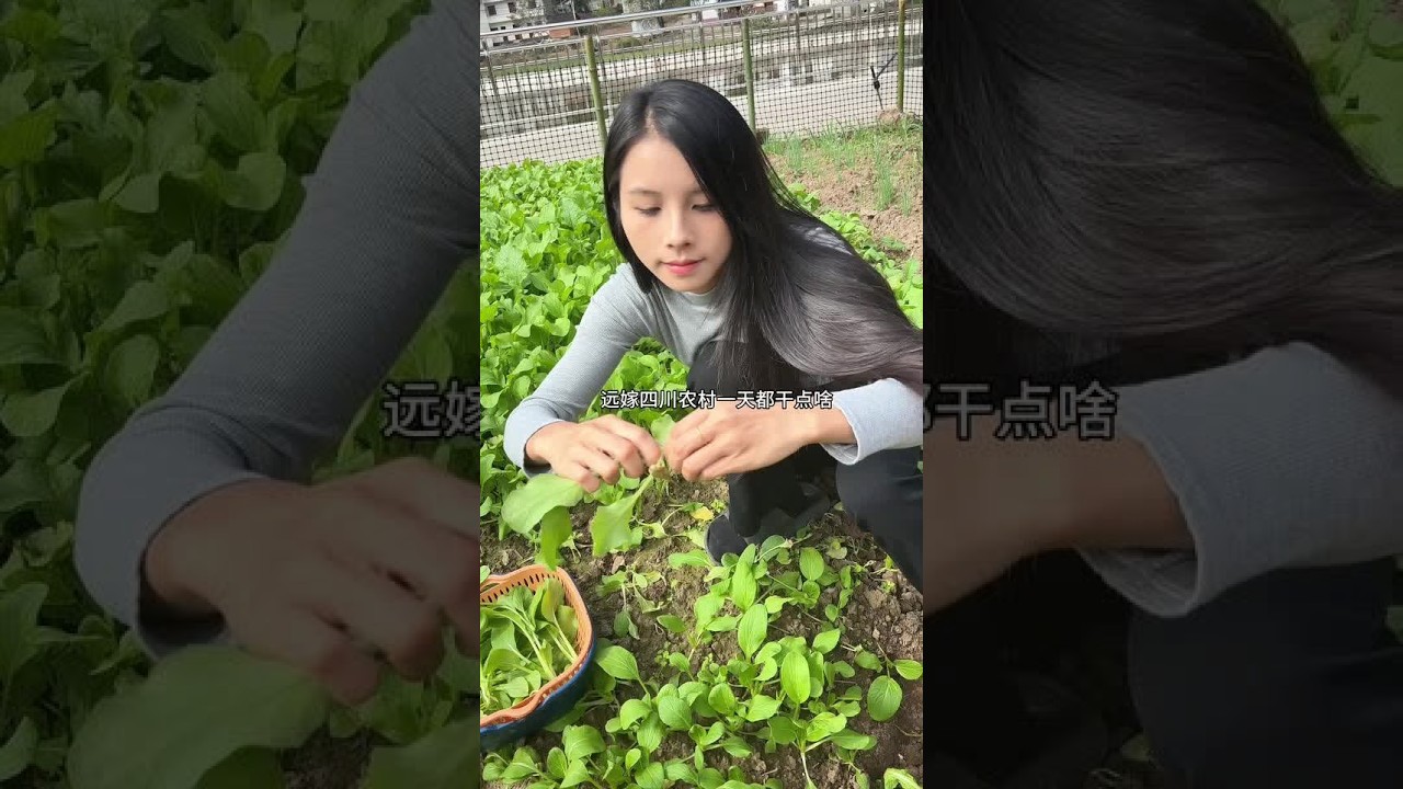 让我再选一次还是义无反顾回农村，虽然没有过年时的热闹，但已习惯农村平静的生活了#我的乡村生活 #慢节奏生活