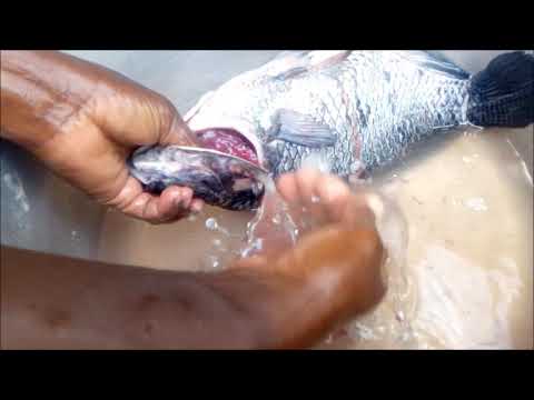 वीडियो: मछली से तराजू कैसे हटाएं