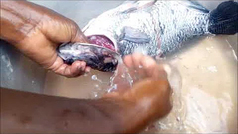 HOW TO CLEAN AND SCALE  FRESH TILAPIA/KENYAN CUISINE