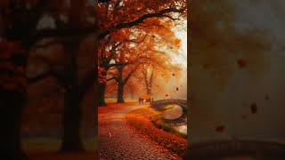 #isi #4143 #autumn #forest #herbst #herbstfarben