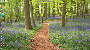 Running Windows 11 on Core 2 Duo.