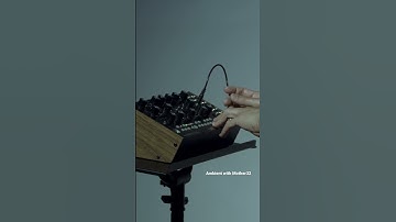 Improvisation with mother32 #moog #mother32 #electronicmusic #analogsynthesizer