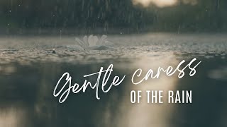 Gentle Caress of the Rain: Tranquil Melodies of Water Droplets and Nature, Soothing the Soul