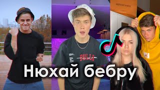 НЮХАЙ БЕБРУ TIK TOK ПОДБОРКА | ВОЛОДЯ XXL - ДЕЛО В ШЛЯПЕ НЮХАЙ БЕБРУ | ПОДБОРКА ТИКТОК