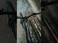MTB cycle