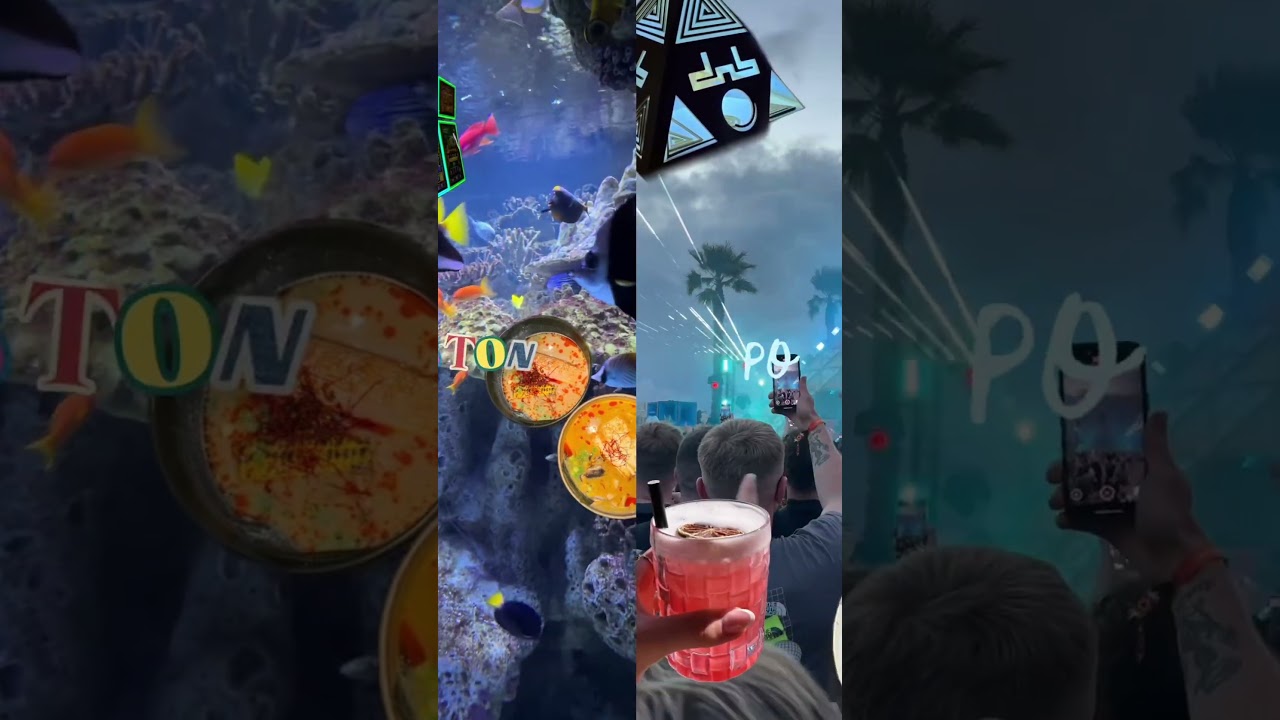 Travel recap #travel #videoedits #edit