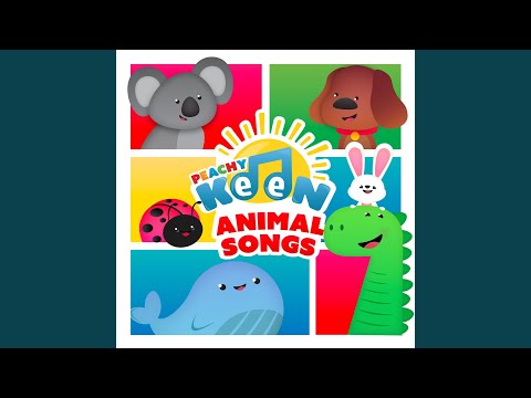 Mira We Go Slow (Tortoise, Snail and Whale) en YouTube