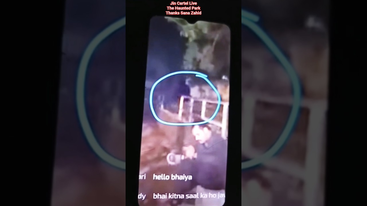 Jin Cartel Funny Shorts 