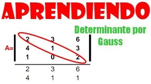 Obtener Determinante de una Matriz | Método Gauss