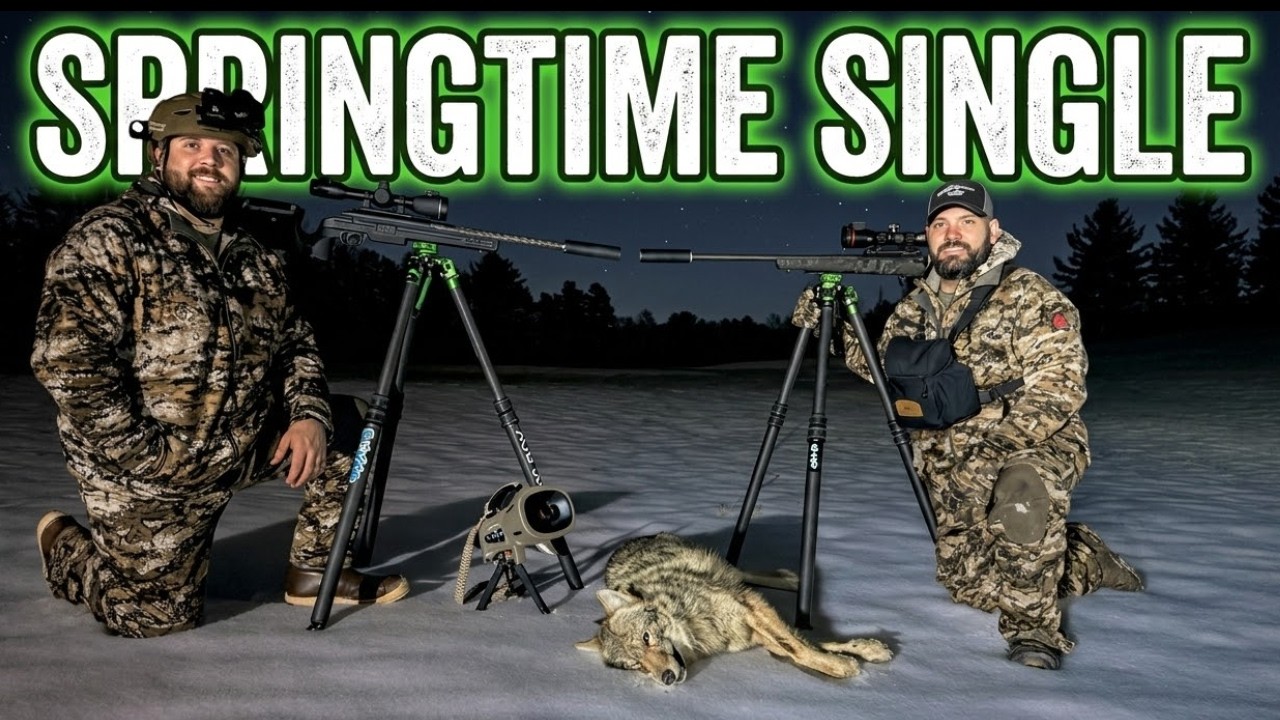 Springtime Single | Thermal Coyote Hunting | Wave Atris 650LRF v2