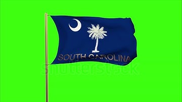 4K south carolina flag with title waving in the wind. Looping sun rises style. Animation loop Stock