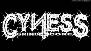 Cyness - Nazis rein