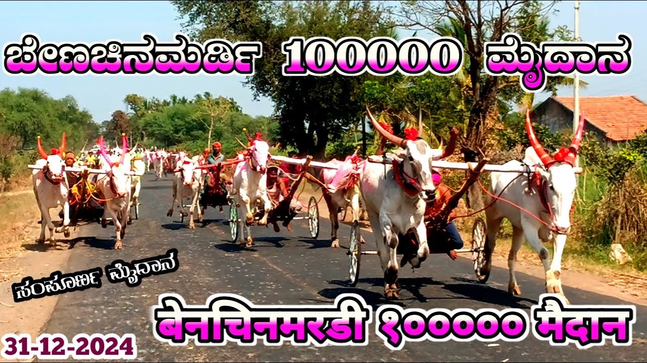 ಬೆಣಚಿನಮರ್ಡಿ 100000 ಮೈದಾನ | Benchinamardi 100000 Bull Race| बेंचीनामार्दी १००००० मैदान 31/12/2024