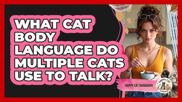 What Cat Body Language Do Multiple Cats Use To Talk? - Happy Cat Handbook