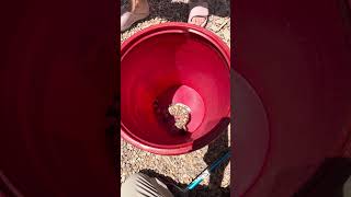 RELOCATING A VENOMOUS LIZARD FOUND NEAR THE FRONT DOOR OF A HOME ￼