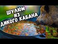 ШУЛЮМ / ШУЛЮМ из ДИКОГО КАБАНА / ШУЛЮМ РЕЦЕПТ / ОХОТНИЧИЙ ШУЛЮМ / ШУЛЮМ из БАРАНИНЫ / ШУЛЮМ ДОМАШНИЙ