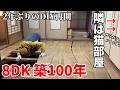 「保護猫が走り回る」そんな夢の第一歩。【移住生活142】