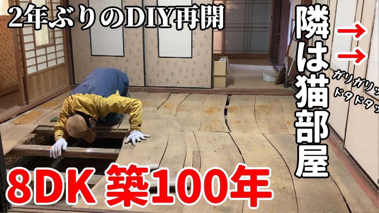 「保護猫が走り回る」そんな夢の第一歩。【移住生活142】