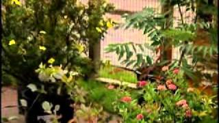 Autumn Gardening Tips - University of Wyoming Cooperative Extension Service