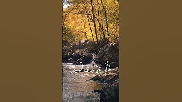 ✨تلاوة رائعة من سورة القصص بصوت القارئ المبدع #ياسر_الدوسري  ✨وَأَوْحَيْنَا إِلَىٰ أُمِّ مُوسَىٰ.. 📖