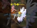 Raissa Rkia Talbensirt  نكي د تازويت اوراد أغ إسن يان الخير