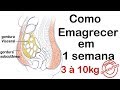 EMAGRECER RÁPIDO EM UMA SEMANA | 6 DICAS INFALÍVEIS PARA EMAGRECER DE VEZ