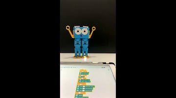 Marty and the Cha Cha Slide