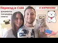 Переезд в США с животным, котиком или собачкой. Документы, процедуры и мяв-лай-хаки.