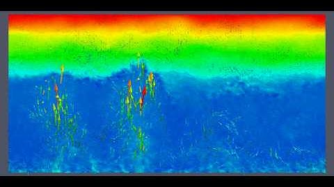Convective boundary layer by LES