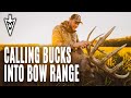 Pre-Rut Tactics, Two Iowa Studs | Midwest Whitetail