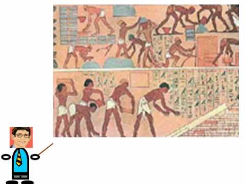 Tenpartners Revolution Evolution Mp4